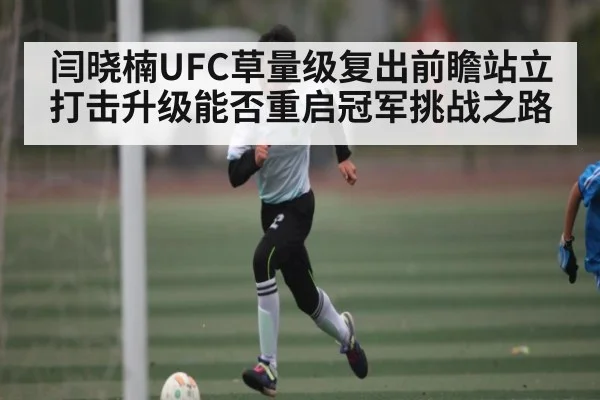 闫晓楠UFC草量级复出前瞻站立打击升级能否重启冠军挑战之路